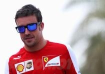 fernando alonso